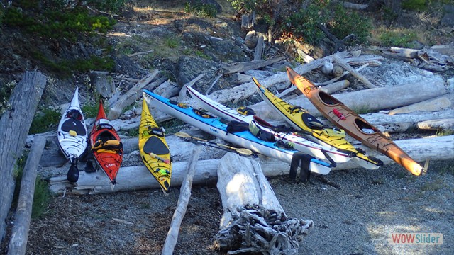 The fleet at rest