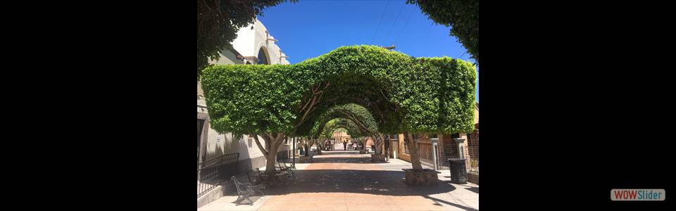 Loreto Pedestrian Mall